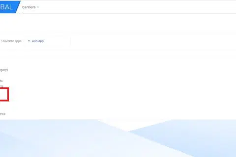 Main carrier landing page which displays the Invoice Upload and Invoice Manager options.