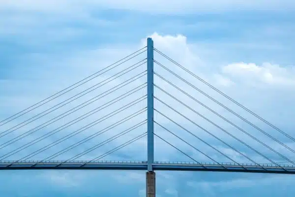 Efficient order management takes more than advanced technology—it requires a powerful TMS to connect disparate tools and optimize data processes.